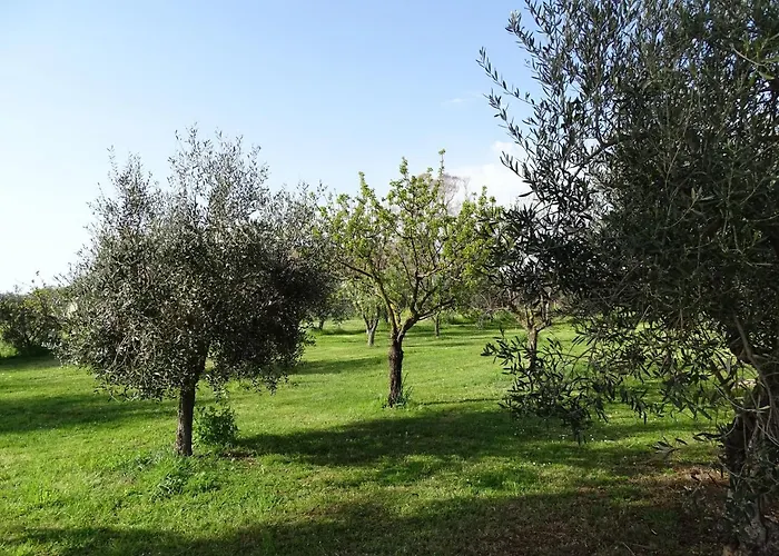 Podere 1248