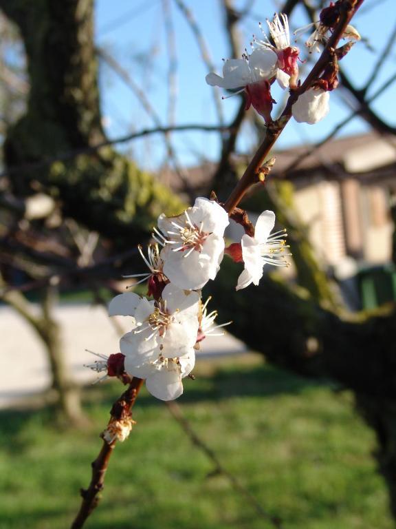 Podere 1248 *