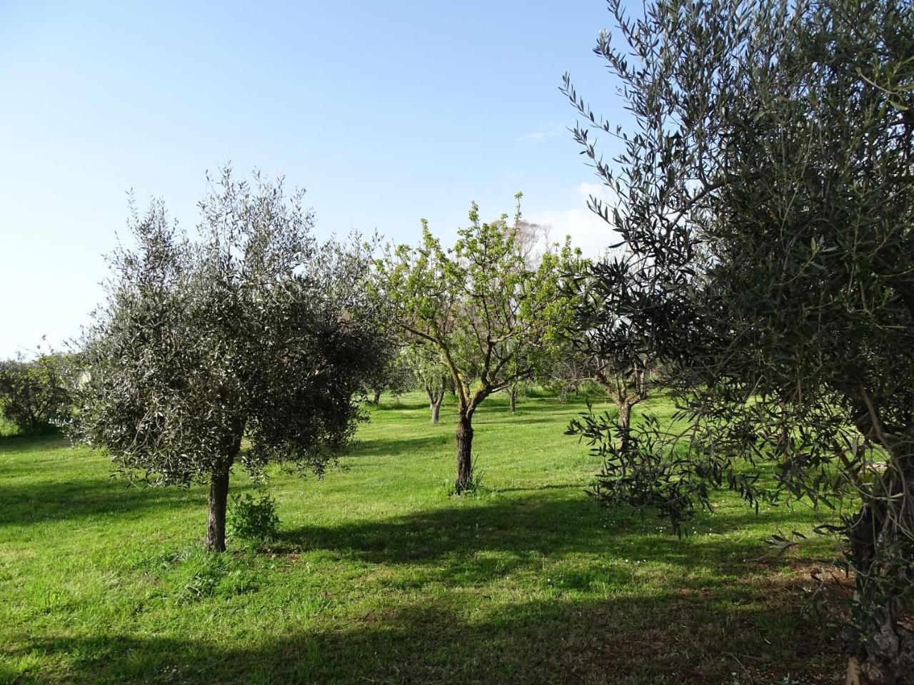 Apartahotel Podere 1248 Ladispoli